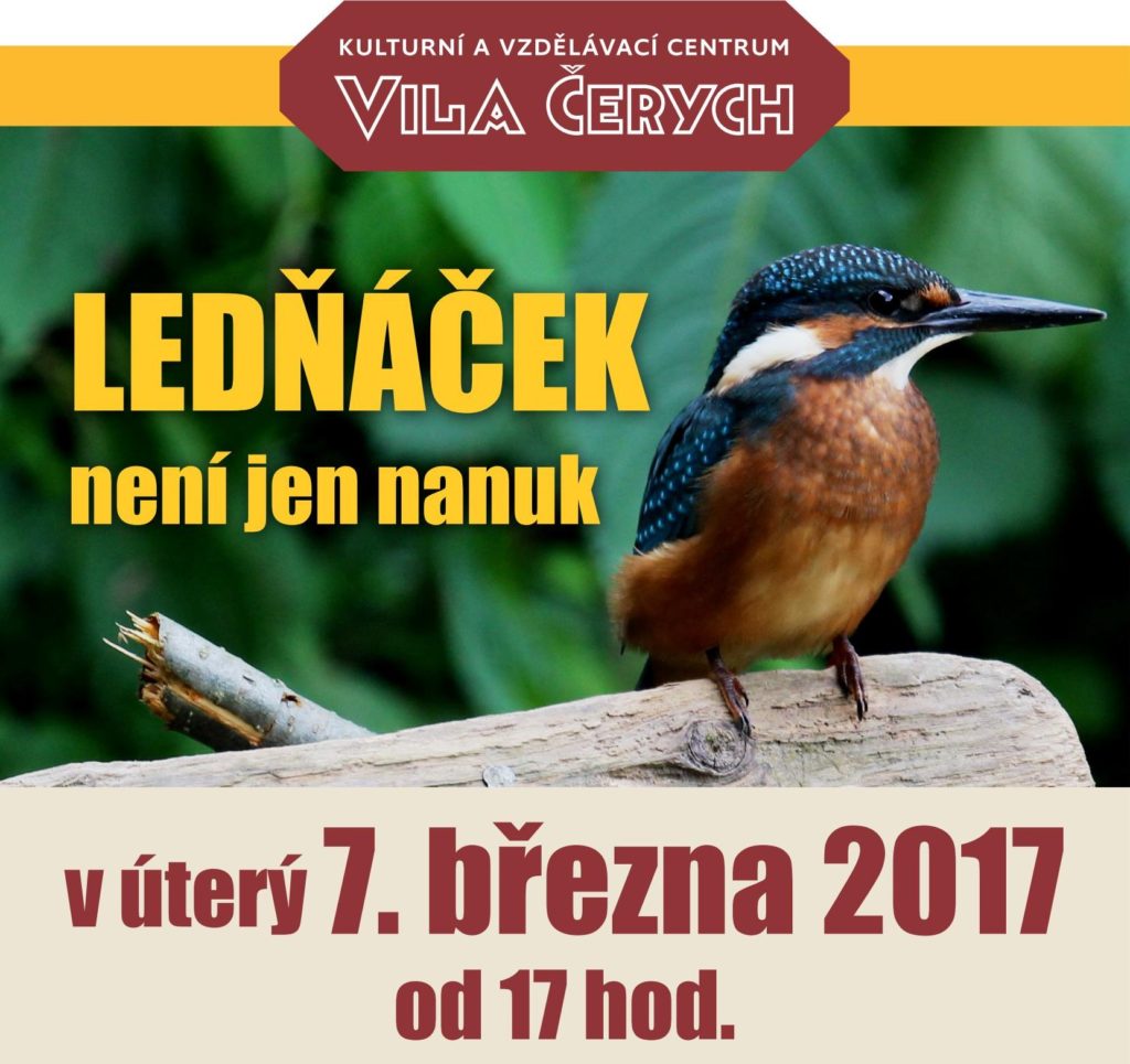 1703_Ledňáček
