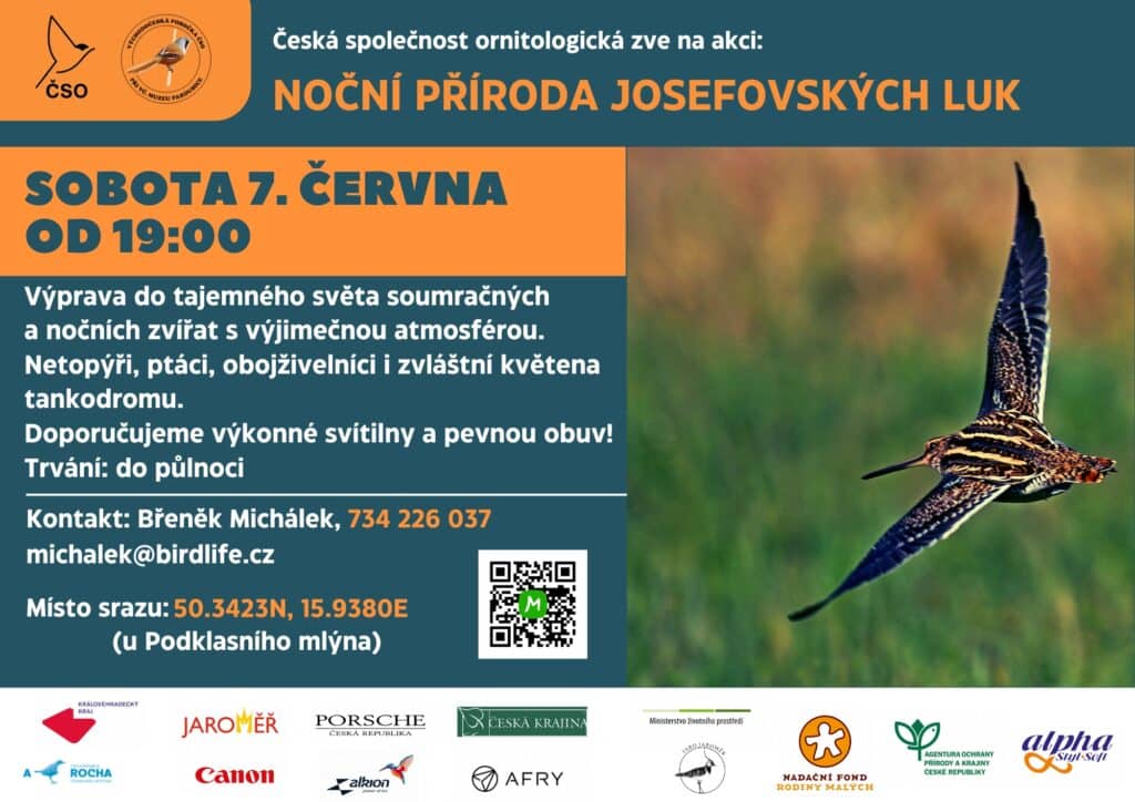 Plakát - komentovaná procházka Noční přírodou josefovských luk